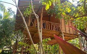 Sigiriya Paradise Treehouse