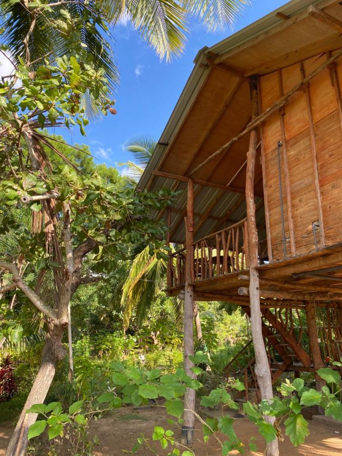 Sigiriya Paradise Treehouse Zewnętrze zdjęcie