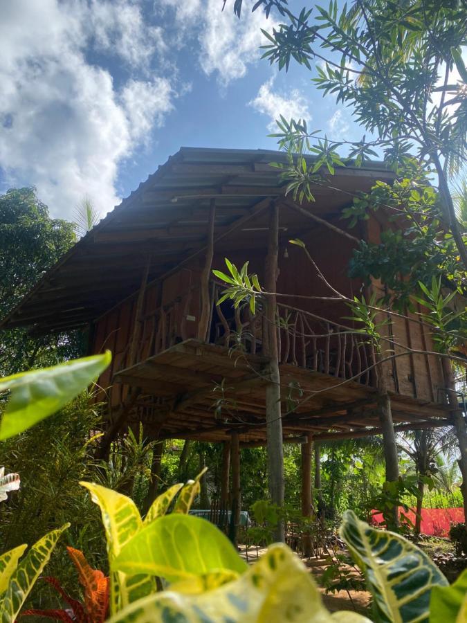 Sigiriya Paradise Treehouse Zewnętrze zdjęcie