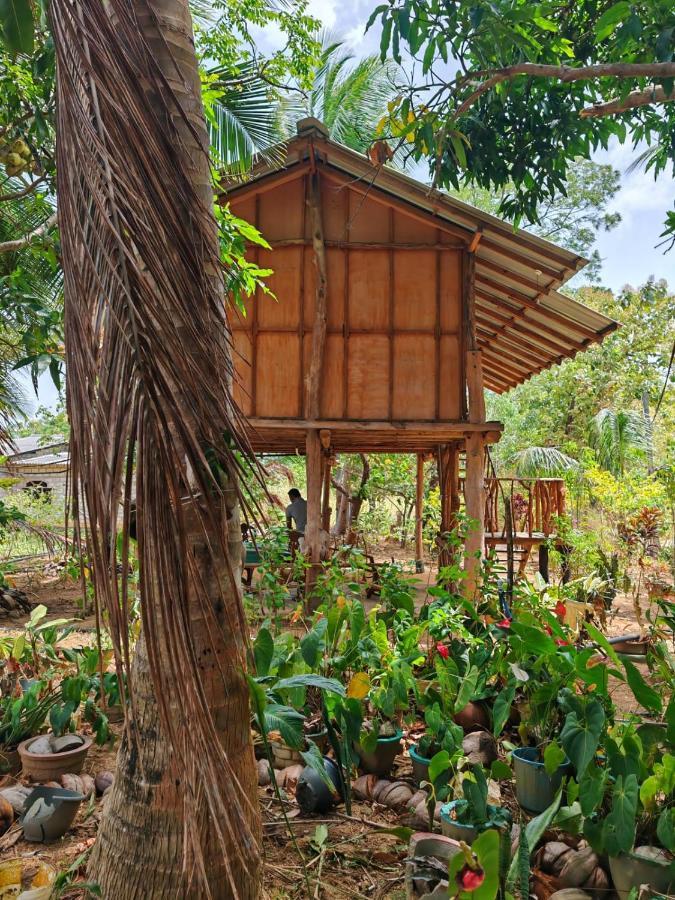 Sigiriya Paradise Treehouse Zewnętrze zdjęcie