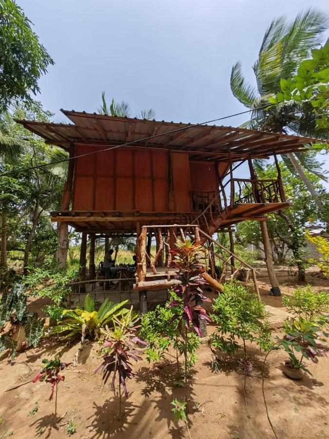 Sigiriya Paradise Treehouse Zewnętrze zdjęcie